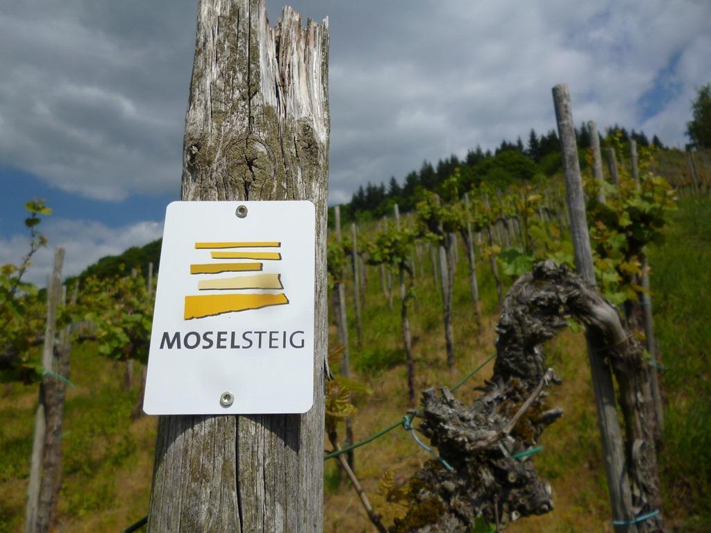 Hotel "Zur Moselterrasse" Palzem Exteriér fotografie
